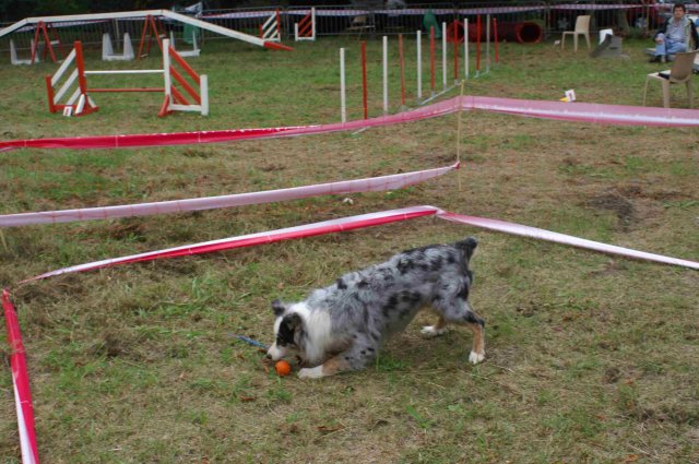 foire-haricots 2011-09-17et18